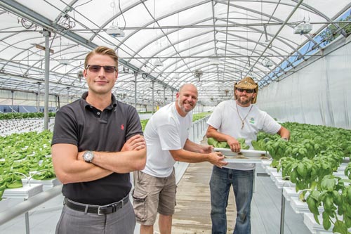From left, Sustainable Local Foods CEO Nicholas Bloom and lead growers Danny Taylor and Bryan Ellis.Toledo Free Press photo and cover photo by Christie Materni