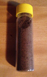 A vial of dirt from Father Gerald Robinson's grave site is among the items for sale by
