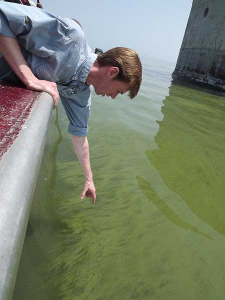 n National wildlife federation President and CEO Collin o’Mara points to an algal bloom in Western Lake Erie near the city of Toledo’s Water intake facility. Toledo Free Press photo by Sarah Ottney