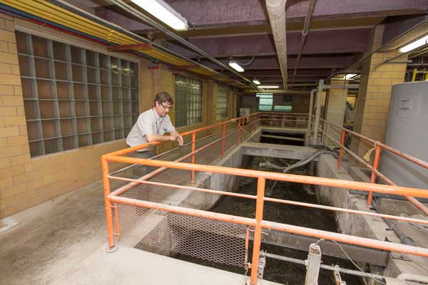 Collins Park Water Treatment Plant Administrator Andrew McClure, photographed Sept. 3, 2014. Toledo Free Press photo and cover photo by Christie Materni
